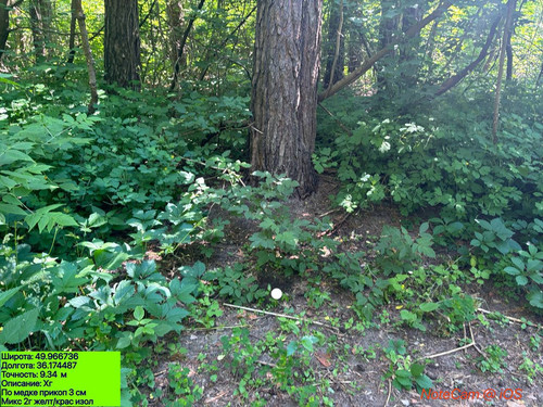 00697d5be582.jpg