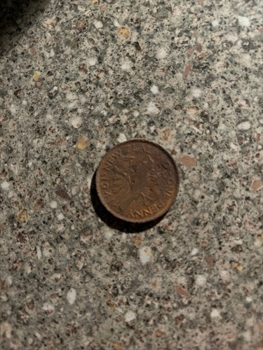 11ddcf304714.jpg