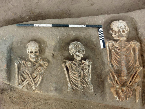 wild boar burials and greco roman cemetery tell kom aziza.jpg