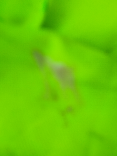 temp.png