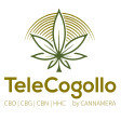 Logo TeleCogollo cuadrado 112.jpg