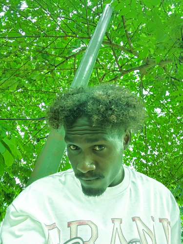 temp.png