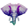 ee logo favicon.png