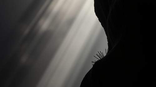 969b3480a51c.jpg