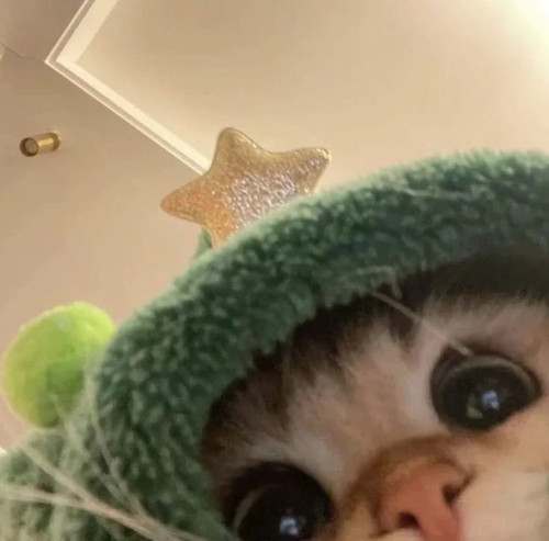 image.jpg