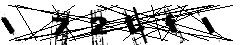 test.jpg