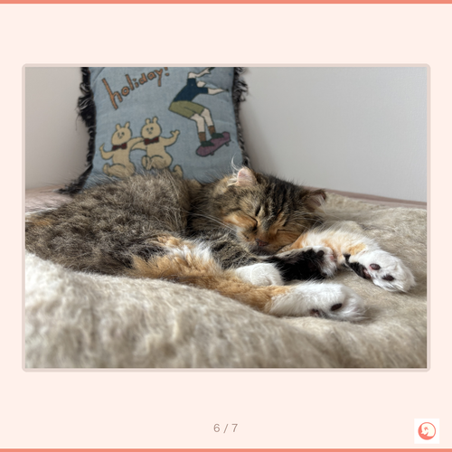 c63031b9f387.png
