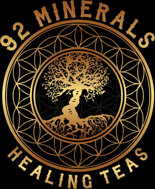 Resized tree of life logo 1 logo2 3 651ebe67 404c 43b0 8e36 6e6899daa853.jpg