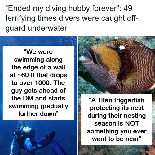 diving terrifying stories.jpg