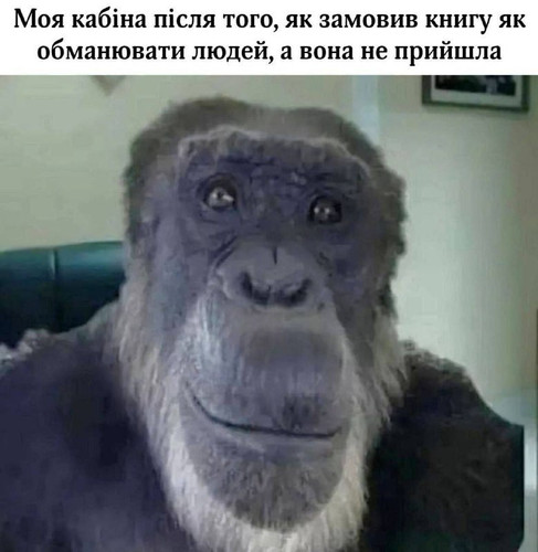 file 281.jpg