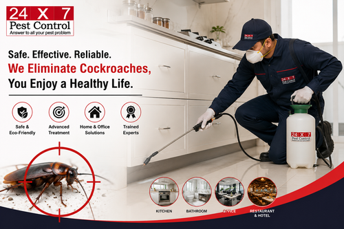 Cockroach Control Services in Gurgaon.png