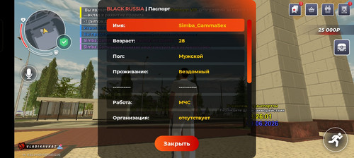 6431.jpg