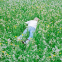 bd976945a76a.png