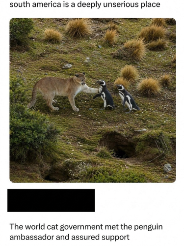 image 2026 06 09T185017.194.png