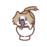 mmexport1781000605630.gif