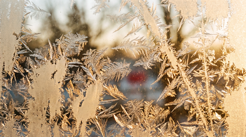 V16 03 02 FROST.png