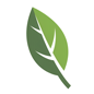 favicon 1758772900374.png