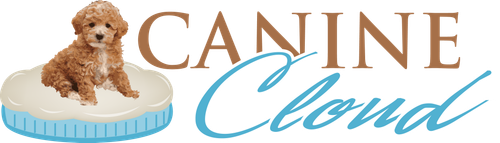 Logo 300DPI 3110x.png