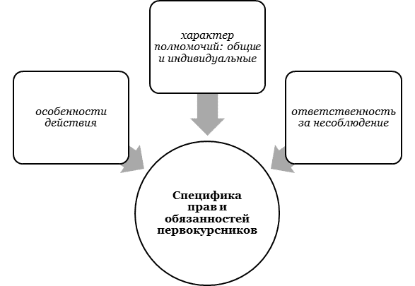 Как работают правила вуза: права и обязанности студентов?