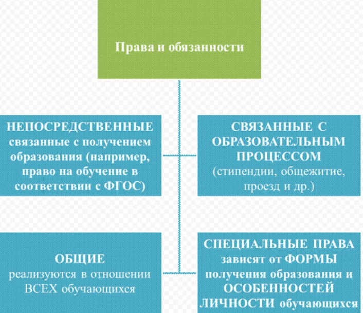 Виды прав и обязанностей студентов