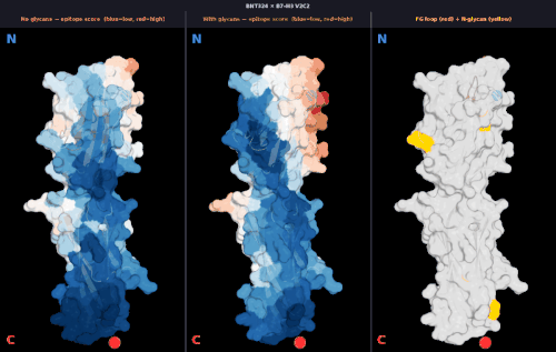 glycan v2 BNT324 v2 score comparison.gif