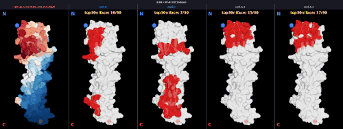 dimer v1 9LME v1 V1C1 score npanel.gif