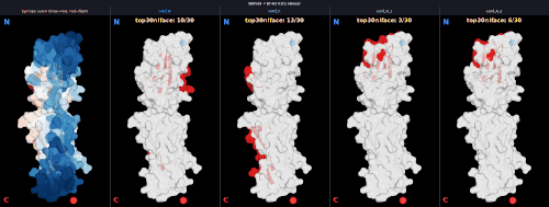 dimer v1 BNT324 v1 V1C1 score npanel.gif