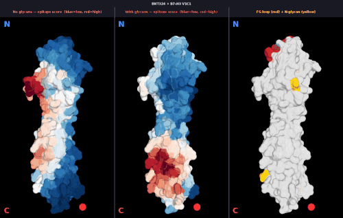 glycan v1 BNT324 score comparison.gif