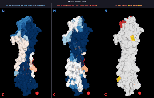 glycan v1 BNT324 freq comparison.gif
