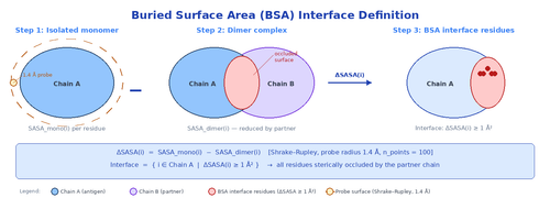 dimer interface estimation.png