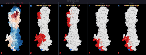 dimer v1 9LY5 v1 V1C1 score npanel.gif