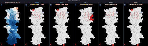 dimer v2 BNT324 v2 V2C2 score npanel.gif