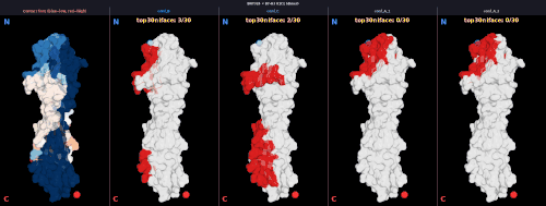 dimer v1 BNT324 v1 V1C1 freq npanel.gif