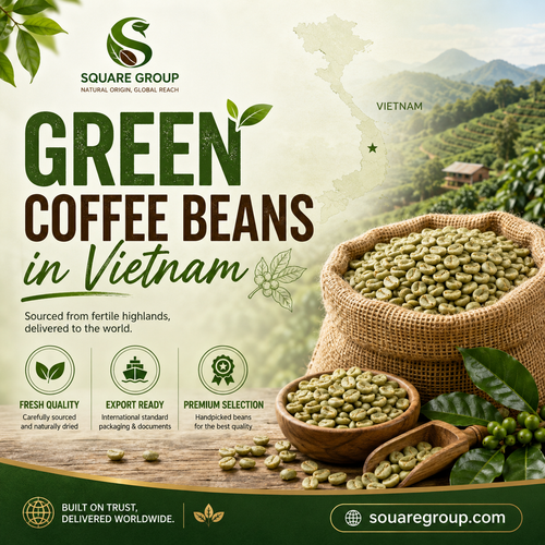 Green Coffee Beans in Vietnam.png
