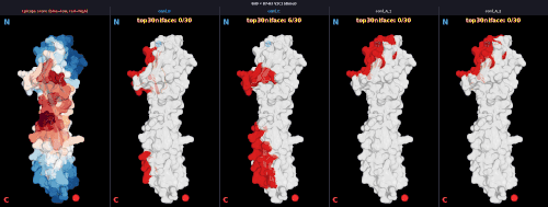 dimer v1 8H9 v1 V1C1 score npanel.gif