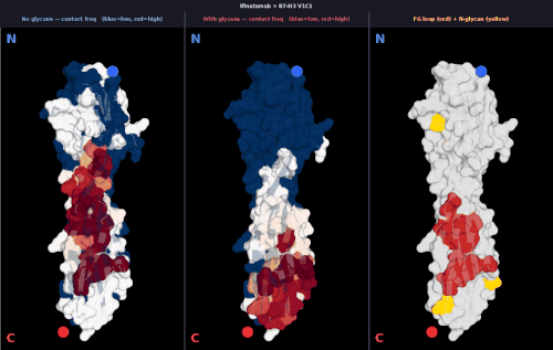 glycan v1 IFINATAMAB freq comparison.gif