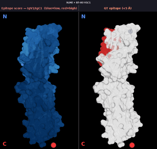 igv2 9lme v1 score.gif
