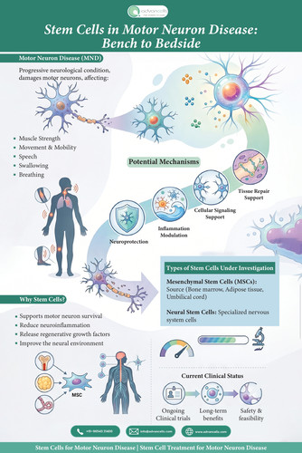 Stem Cells in Motor Neuron Disease.jpg