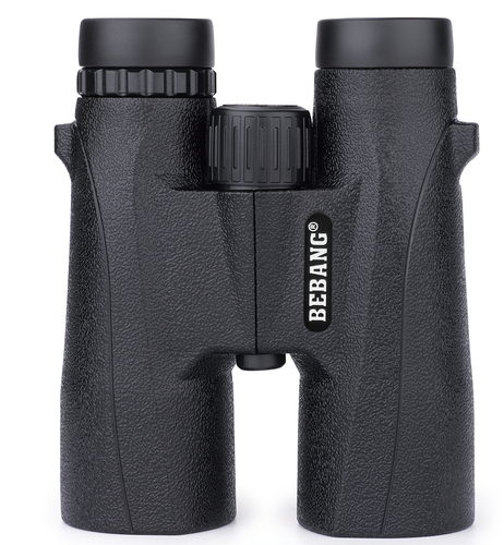 G79007A.png