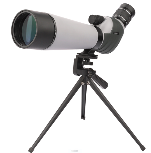 Y81625 1.png