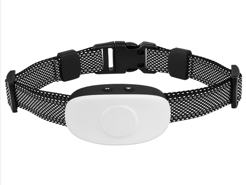 H111008 W.png