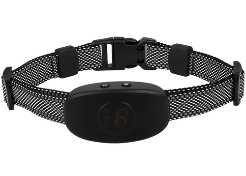 H111008 B.png