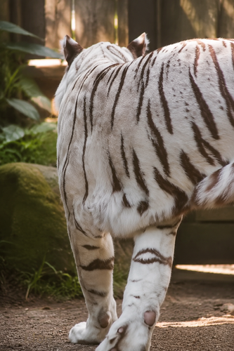 233f47f970e7.png