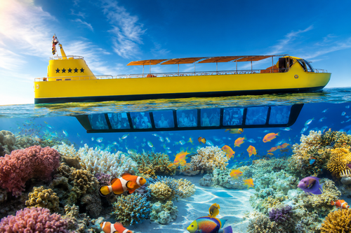 Snorkeling na płytkich ogrodach koralowych