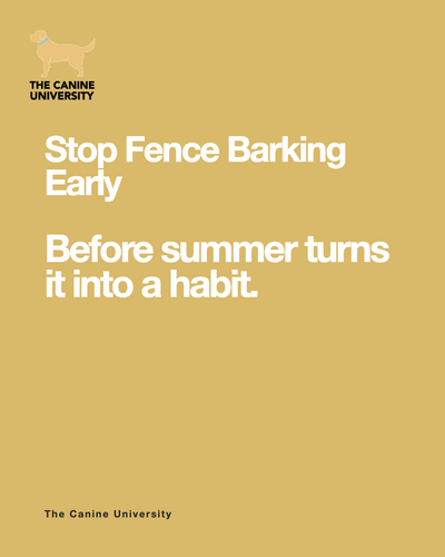 ebac56ccbc1f.png