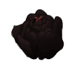 IMG 0479.png