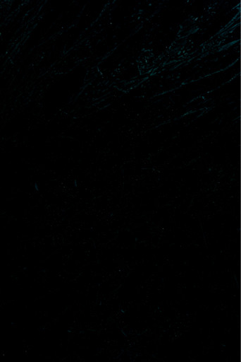 0f212e294383.jpg