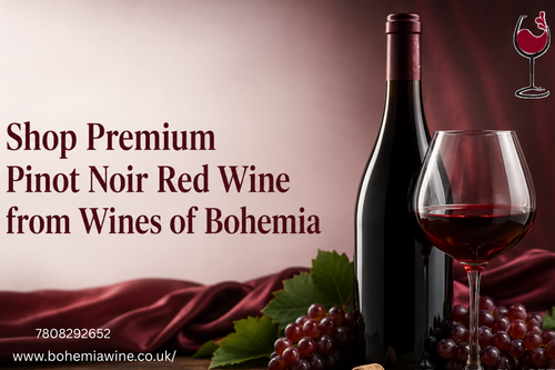 Shop Premium Pinot Noir Red Wine from Wines of Bohemia.png