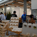 DSC 2023