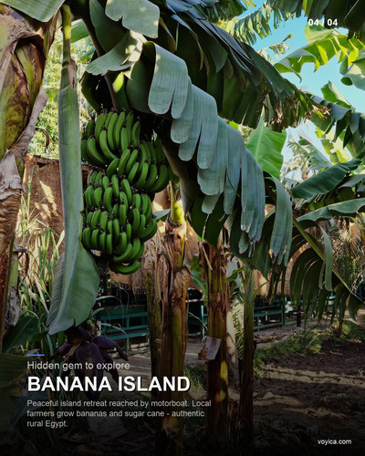 slide 04 banana island.jpg
